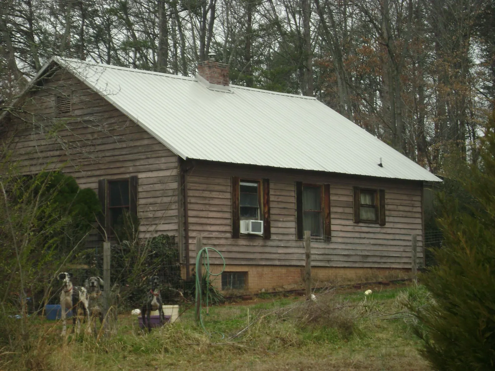 White metal roof on an old wood sided farmhouse, from a Asphalt Shingle Roof Repair job in Lewiston Woodville